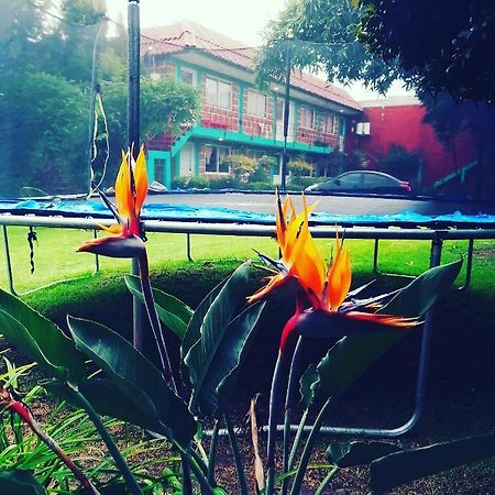 Hotel Las Fumarolas De Don Goyo Cholula Exterior foto